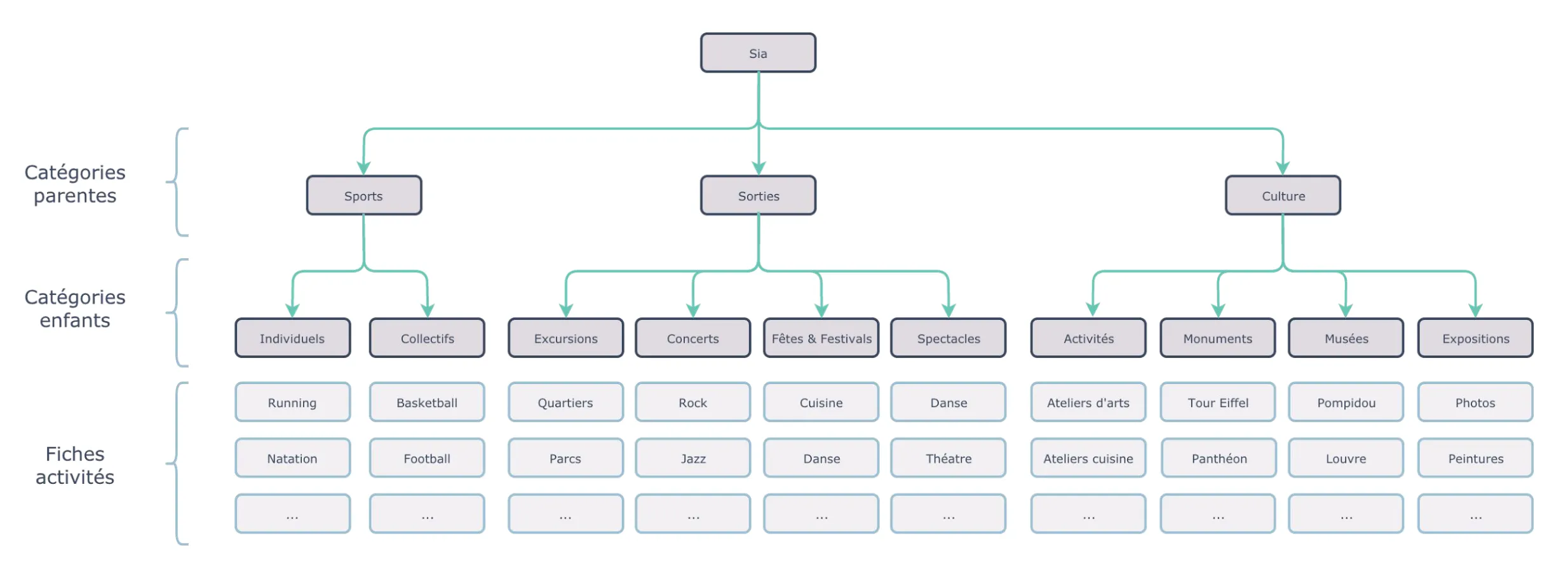 Hiérarchie des activités